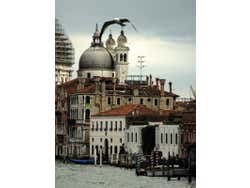 Venezia dal vaporetto