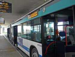 Autobus di Venezia