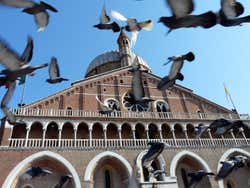 Padova: Basilica di Sant'Antonio